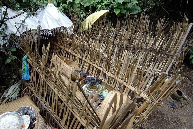Trunyan Cemetery, Hot Spring, Penglipuran Village, and Waterfall Tour - Trunyan Cemetery and the Taru Menyan Tree: Bali Aga life and death rituals