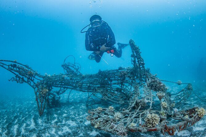 Try Dive Program in the Biorock Pemuteran - Key points that make this try scuba program work