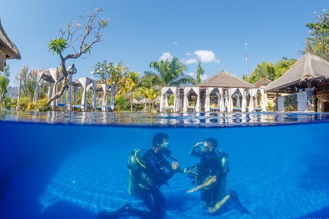 Try Dive Program in the Biorock Pemuteran - Biorock Pemuteran: why this kind of site suits first-timers