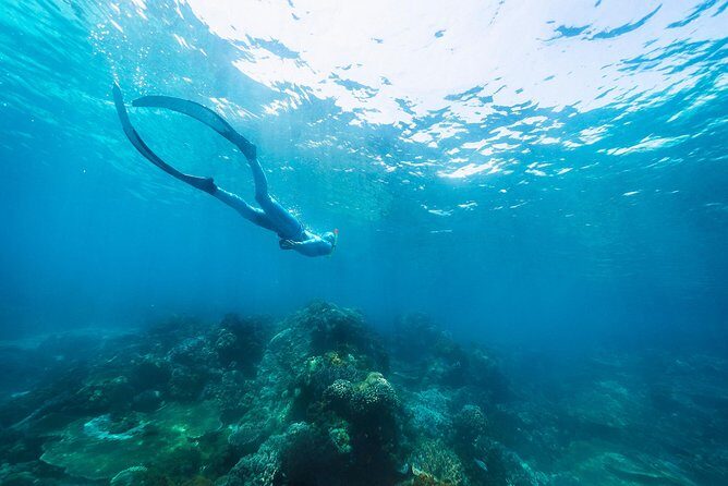 Try Freediving on Nusa Penida - Then You Hit the Water: Practice on the Home Reef Right in Front of the School