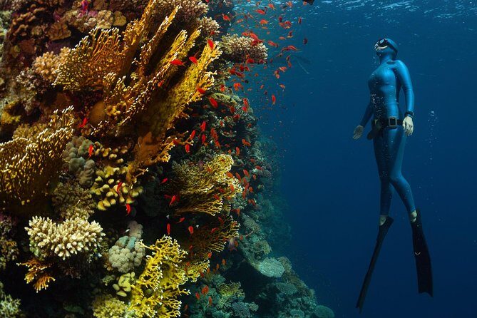 Try Freediving on Nusa Penida - Value Check: Does $150 Make Sense for 3 Hours in a Tiny Group?