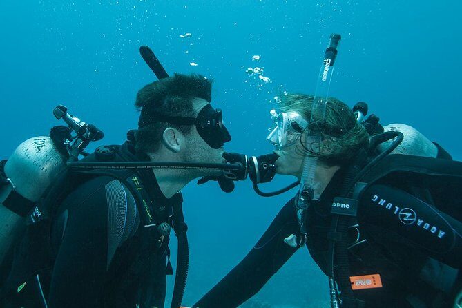 Tulamben Diving Tour Shipwreck USS Bali - Price and Value at $102.57: What You’re Really Paying For