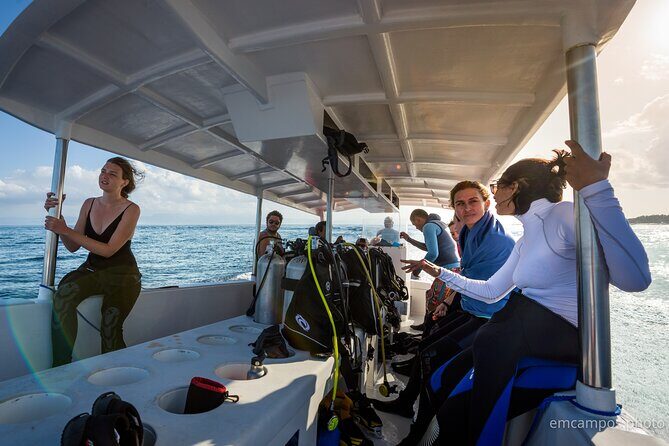 Two fun dives morning trip (Certified Divers only) - Manta Point Chances and the Marine Life You’re Likely to See