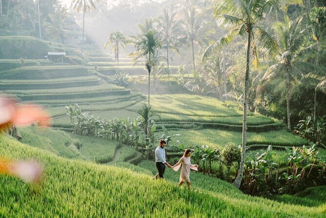 Ubud 1 Day Tour (Private & All-Inclusive) - FAQ