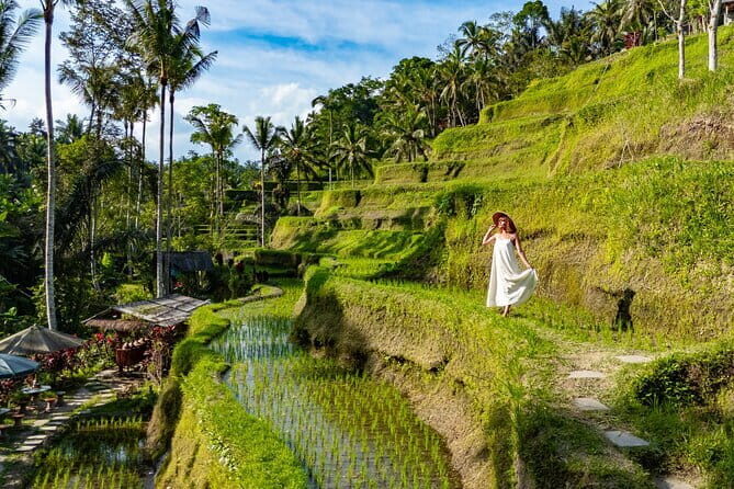 Ubud All-Inclusive Tour with Swing and Lunch - Key highlights to plan around