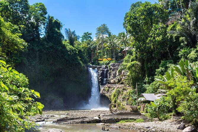 Ubud All-Inclusive Tour with Swing and Lunch - A smooth Ubud day without the DIY headache