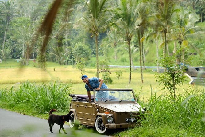 Ubud All-Inclusive Tour with Swing and Lunch - Tegalalang Rice Terrace: UNESCO-listed views with traditional irrigation