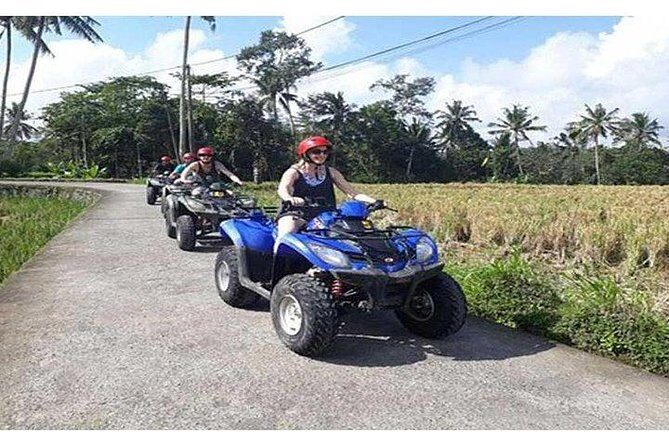 Ubud ATV Quad Bike, Monkey Forest and Rice Terrace - Celuk Village and the waterfall area: a short nature stop with photo options