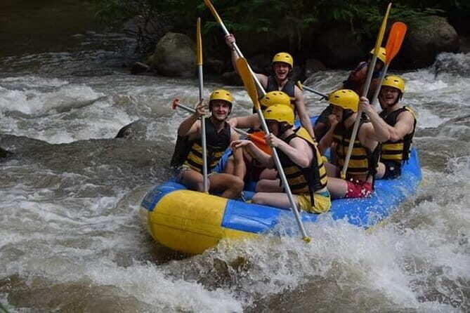 Ubud Ayung River Rafting with Meeting Point or Pickup - The 12-Kilometer Run: Waterfalls, Cliff Carvings, and 2 Hours on the River