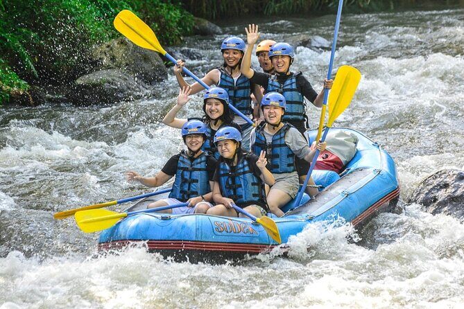 Ubud Ayung Water Rafting included Lunch and Transfer - Price and value: what $19.40 really buys you
