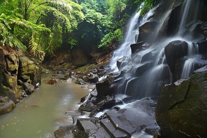 Ubud Bali: Rice Terrace, Waterfall and Tirta empul Day Tour - Price and what you avoid spending on during the day tour
