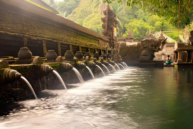 Ubud Bali: Rice Terrace, Waterfall and Tirta empul Day Tour - Goa Gajah Elephant Cave: Hindu-Buddhist history with a UNESCO link