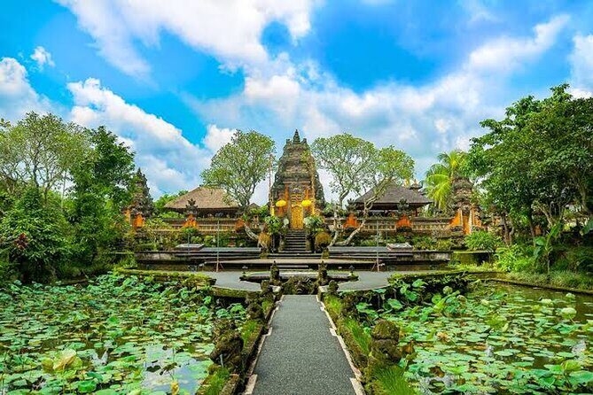 Ubud Bali: Rice Terrace, Waterfall and Tirta empul Day Tour - Who this private tour suits best