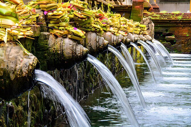 Ubud Bali: Rice Terrace, Waterfall and Tirta empul Day Tour - From Seminyak pickup to Ubud-area stops: how the 8–10 hours usually feels