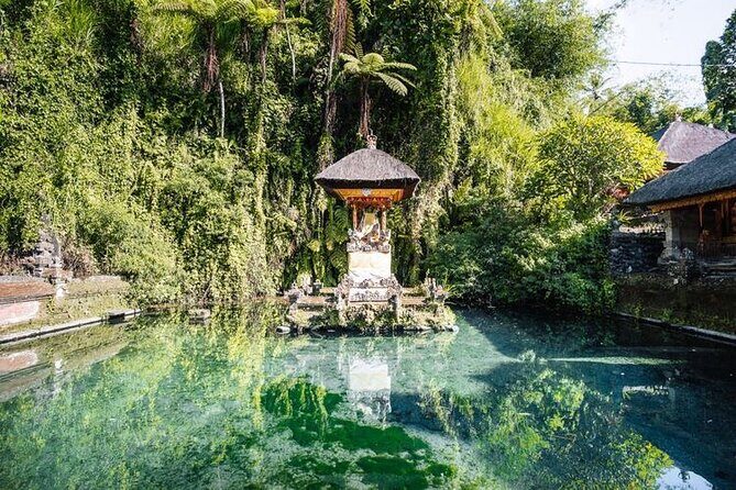 Ubud Best Tour - Sacred Monkey Forest Sanctuary: Seeing Nature and Avoiding the Usual Mistakes