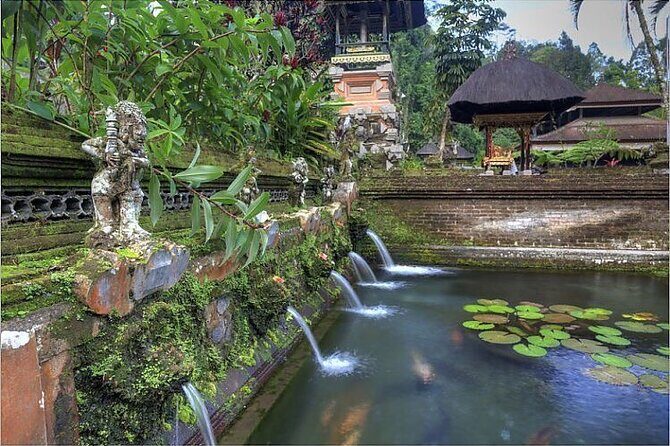 Ubud Best Tour - Coffee Plantation Plus Activities: Where the Thrill Might Cost Extra