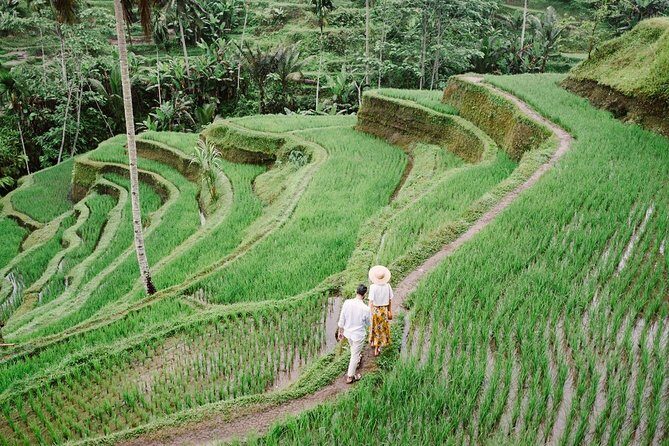 Ubud City Tour II: Monkey Forest, Palace, Art Market, and Rice Terrace - Ubud Traditional Art Market: souvenirs, textiles, and crafts in one hour