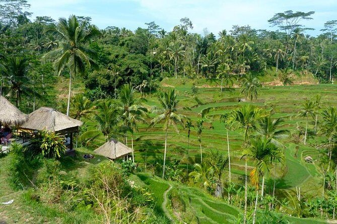 Ubud Combine Mount Batur Kintamani Tour - Ubud Monkey Forest and the Ubud city time: a cultural add-on that changes the mood