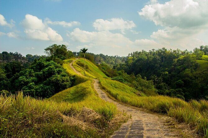 Ubud Countryside Tour: Campuhan Ridge Walk and Rice Terrace - Traditional Balinese house compound in Batuan: culture before the views
