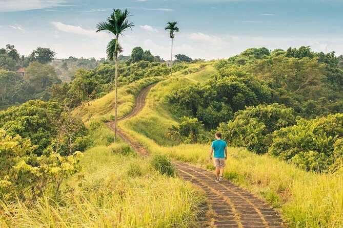 Ubud Countryside Tour: Campuhan Ridge Walk and Rice Terrace - Campuhan Ridge Walk to Tegalalang terraces: your morning loop