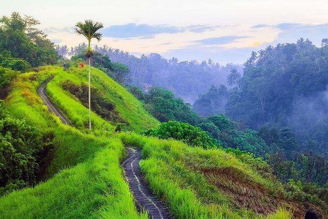 Ubud Countryside Tour: Campuhan Ridge Walk and Rice Terrace - Price and value: is $40 a fair deal for this circuit?