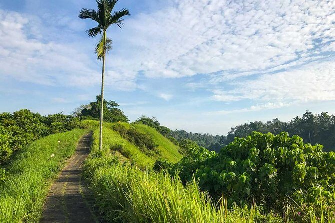 Ubud Countryside Tour: Campuhan Ridge Walk and Rice Terrace - Pickup, timing, and what 7 hours really means