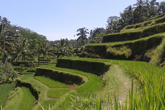 Ubud Cultural Day Tour: A Day for Balinese Cultural Experience - Ubud Palace: A Short Visit That Helps You Understand Local Culture