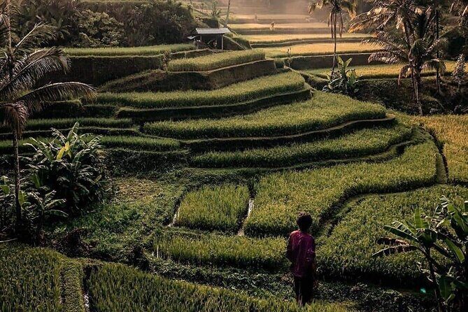 Ubud Customized Full Day Tour - Visit Most favorite In Ubud - Price and value: what $22.50 includes and what you’ll pay separately