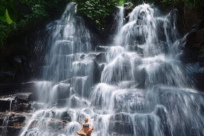 Ubud Customized Full Day Tour - Visit Most favorite In Ubud - Tegalalang Rice Terrace: the photo stop you can control