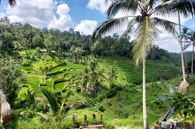 Ubud Customized Private Tour - Tegenungan Waterfall: steps you actually feel in your legs