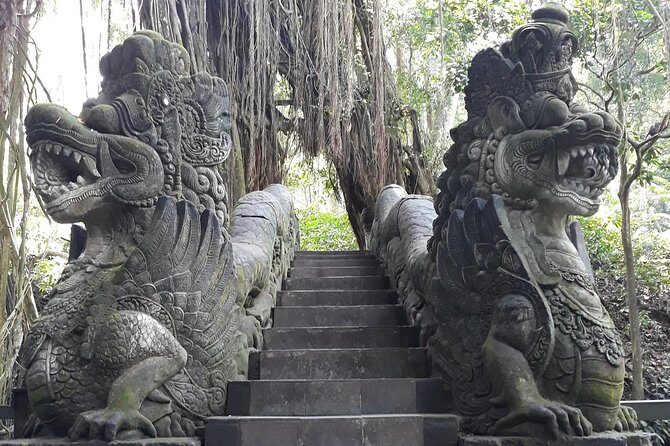 Ubud Customized Private Tour - Tegalalang Rice Terrace: the subak system story, plus the swing option