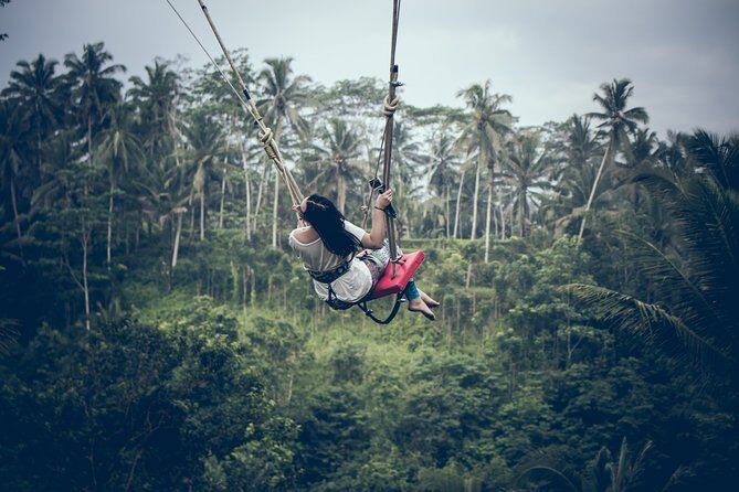 Ubud Customized Private Tour - Ubud area: where you choose the mood