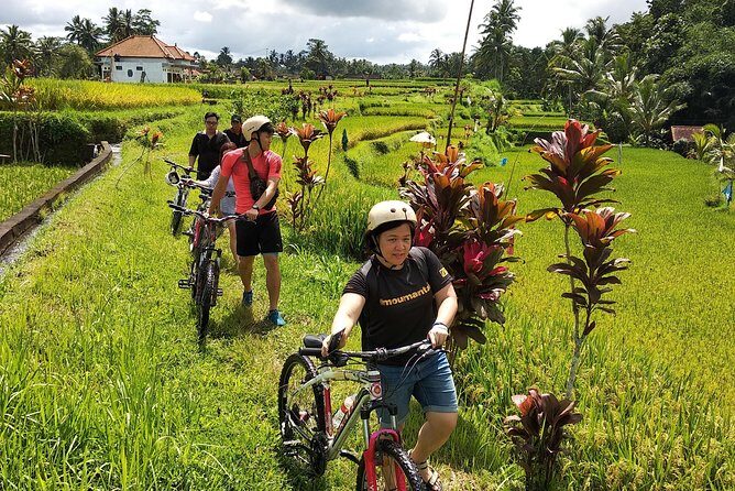 Ubud Cycling Tour - The cycling itself: quiet roads, coconut shade, and terrain you should plan for