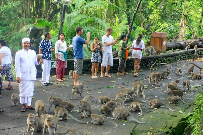 Ubud Day Tour: Sacred Monkey Forest, Tegenungan Waterfall, Rice Terrace - Ubud Traditional Art Market and Ubud Palace: souvenirs and spiritual symbols