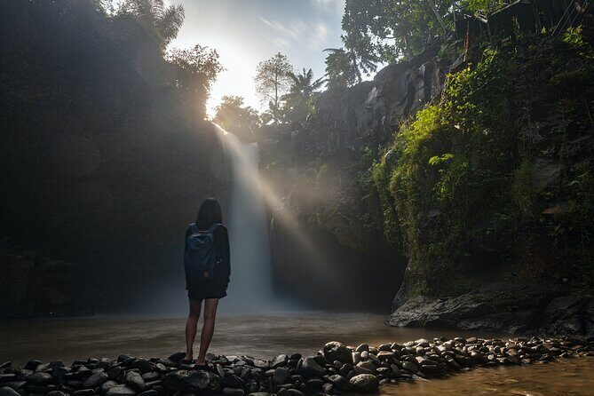 Ubud Day Tour - Top Things to do in Ubud + Local Ubud Guide - The full-day route: what each stop is actually like