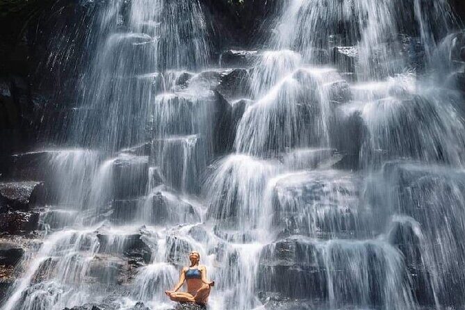 Ubud Day Tour : Waterfall, Temple and Local Night Market Tour - Ubud Jungle Swing: a fun photo stop, not a must-do