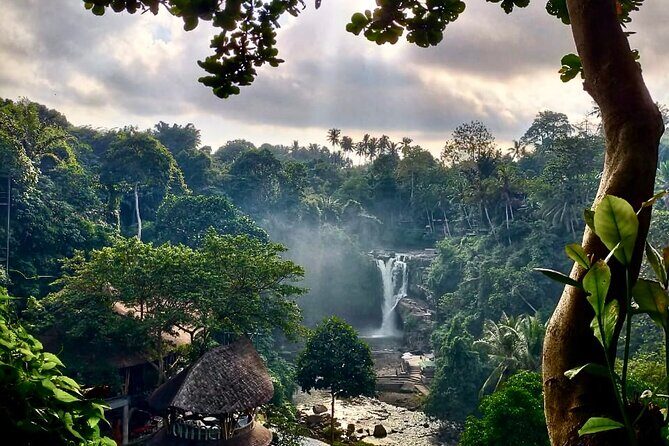 Ubud Day Tour with Private Car & Local Driver - Tegenungan Waterfall: an easy-to-reach jungle stop with powerful views