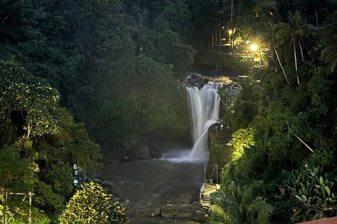 Ubud Day Tour with Private Car & Local Driver - Goa Gajah (Elephant Cave): a 9th-century cultural site with a built-in mystery