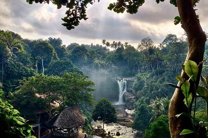 Ubud Day Tour with Private Car & Local Driver - Tegalalang Rice Terrace: classic Ubud scenery and the photo angles you’ll want