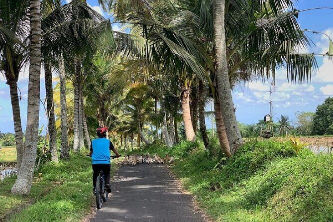 Ubud: Downhill Cycling with Volcano, Rice Terraces and Meal - What to Pack (So the Day Feels Easy)