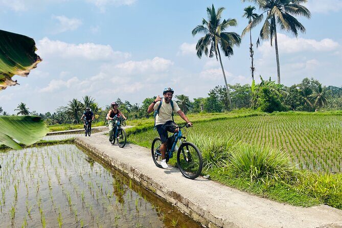 Ubud eBikes Tour to Tegallalang Rice Terrace - Tegallalang Rice Terrace: lunch with a view and time to breathe