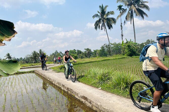 Ubud eBikes Tour to Tegallalang Rice Terrace - Culture stops that go beyond the photo moment
