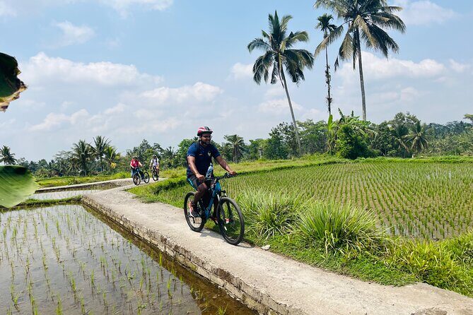 Ubud eBikes Tour to Tegallalang Rice Terrace - Who this tour fits best (and who might want another option)