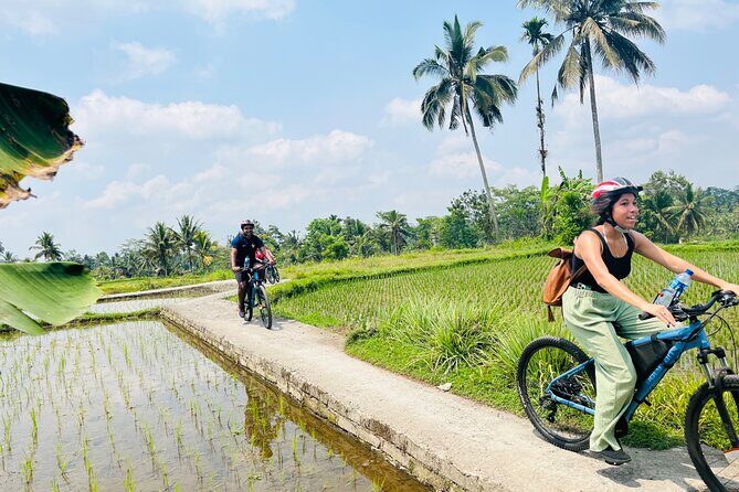Ubud eBikes Tour to Tegallalang Rice Terrace - The meeting point and the 15-minute start you’ll actually use