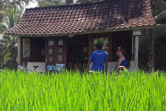 Ubud Eco Culture Cycling Exploration - Abangan Paddies and Junjungan Fields: Coconut, Breeze, and Short Climbing