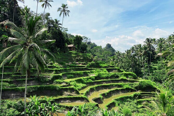Ubud Experience | Full Day Private Tour in Ubud | FREE WIFI - Tegenungan Waterfall: a cool nature break before evening culture