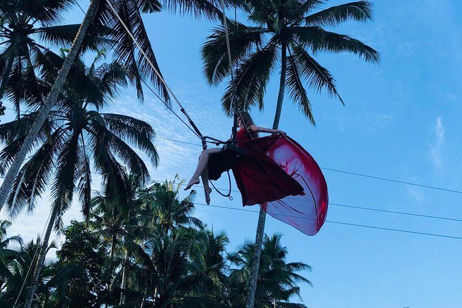 Ubud Experience ; Swing, Waterfalls, Art Market, Rice Terrace - What Makes the Private Driver Setup Actually Valuable