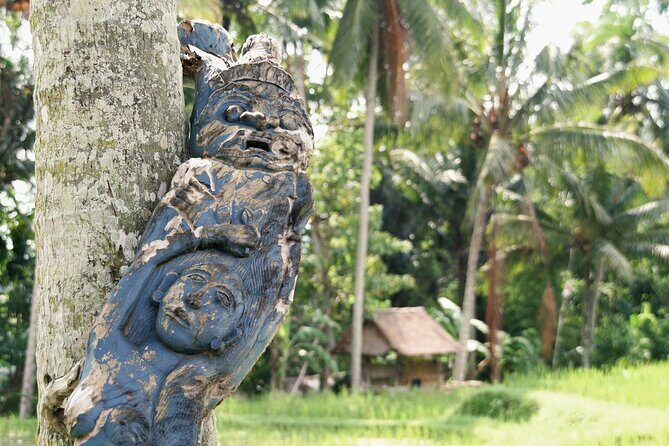 Ubud Explorer Private Day Tour - Price, what’s included, and what to budget for lunch