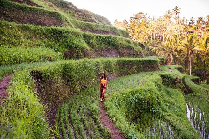 Ubud Full Day ATV Adventure with Rice Terrace and Temple Ritual - The 8-hour timing: how to make the day feel easy