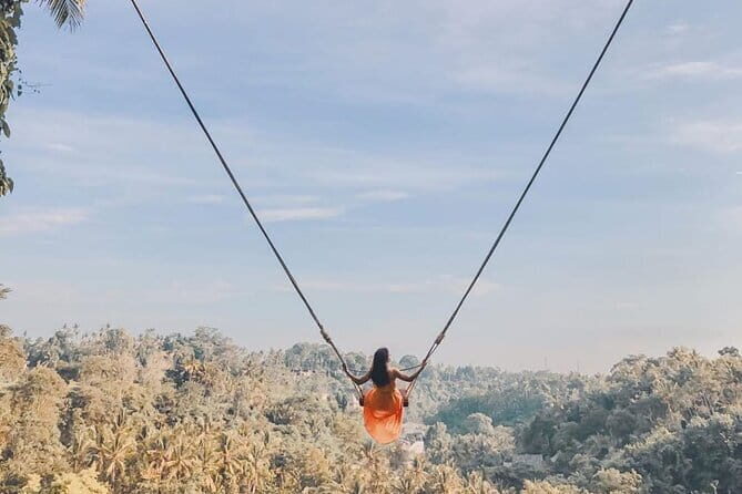 Ubud Full Day - Monkey Forest, Rice Terrace and Waterfalls Tour - Key highlights you’ll actually feel during the day